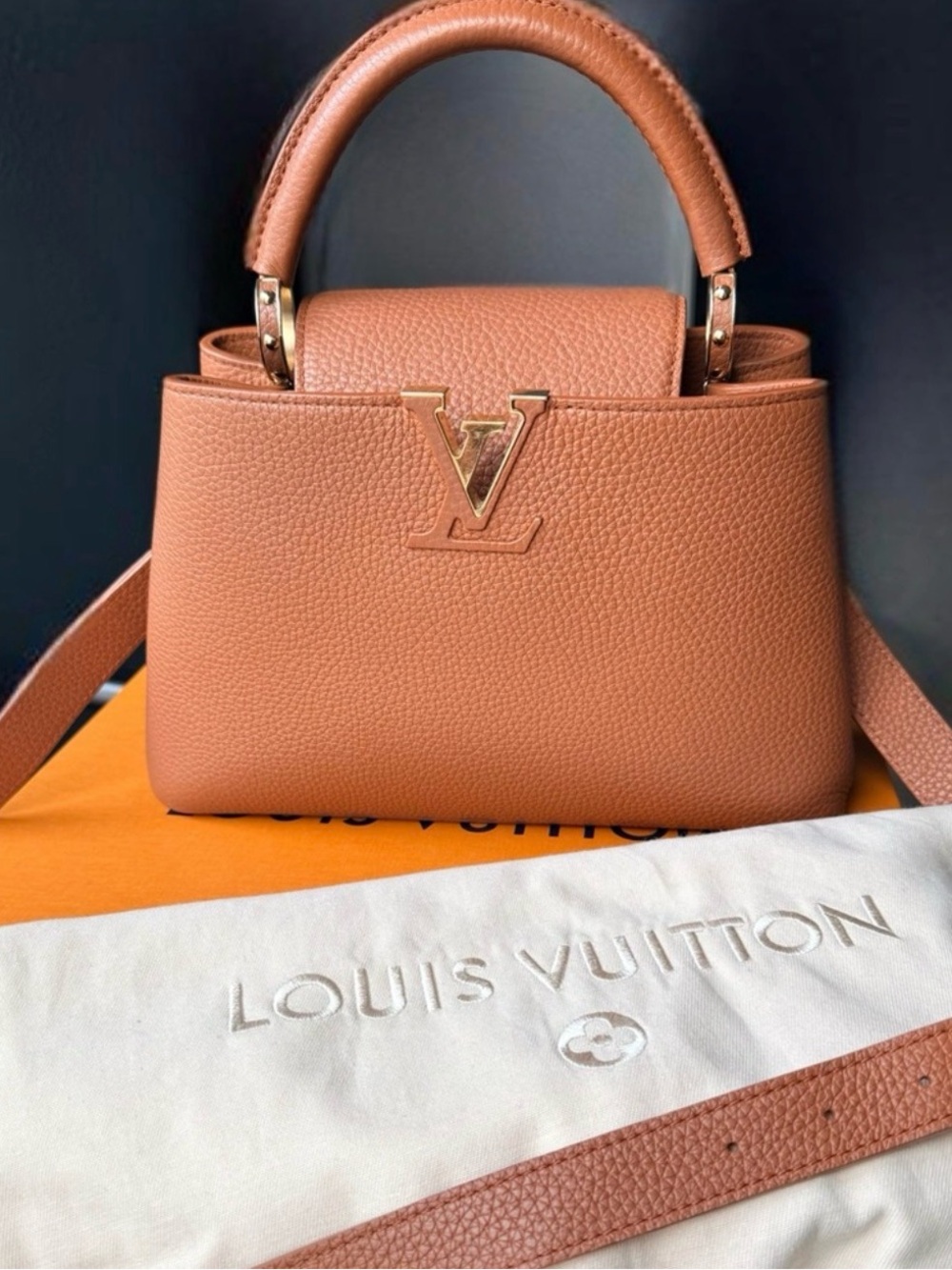 Louis Vuitton Tan Capucines BB - Picture 2 of 12